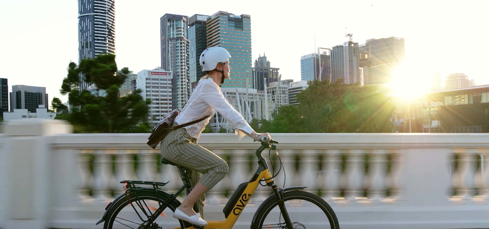 AVE TH1 ebike