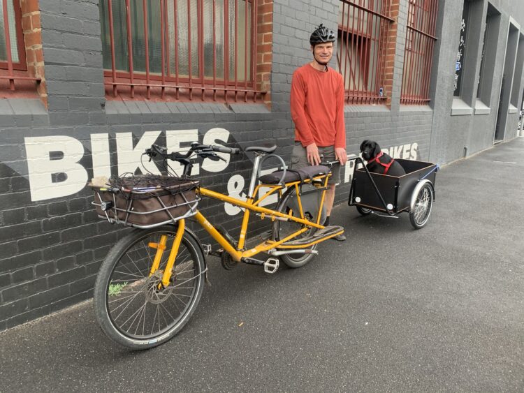 Cargobike Dogs Cargobike Dogs