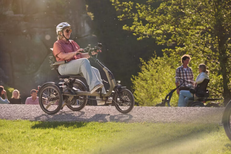 van-raam-adult-tricycles