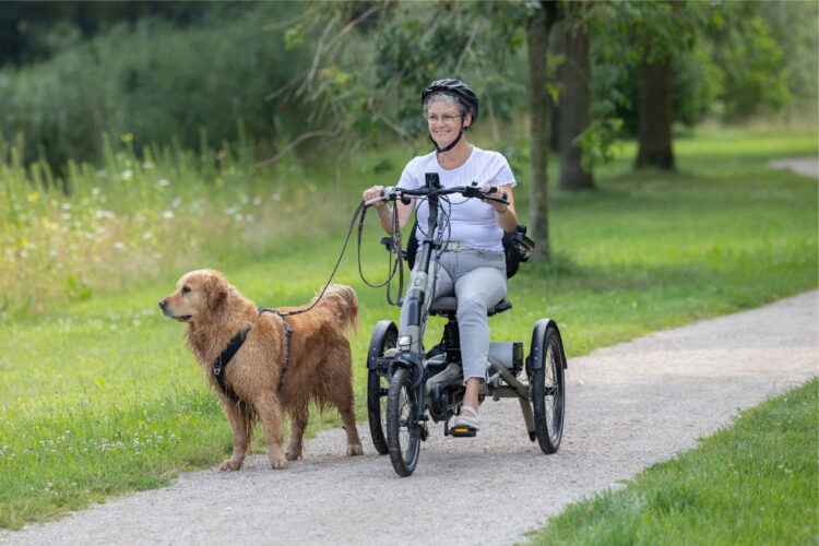 Easy-rider-compact-tricycle-for-small-adults-van-raam