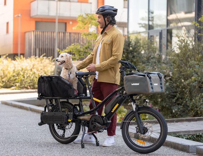 Yuba Bikes Fastrack wooftop