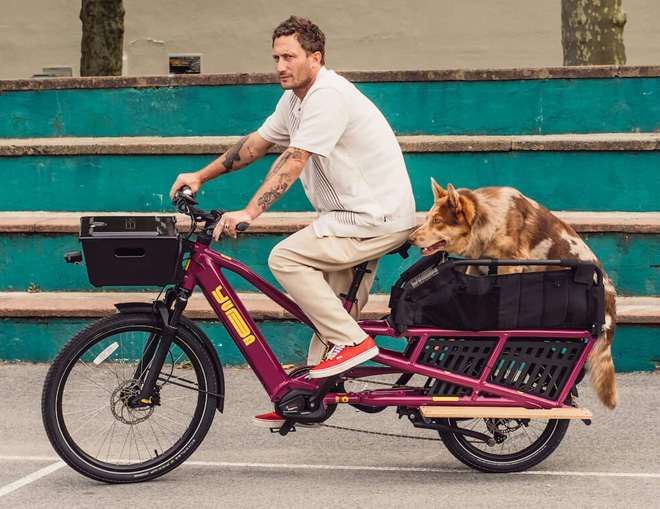 Yuba Bikes Spicy wooftop